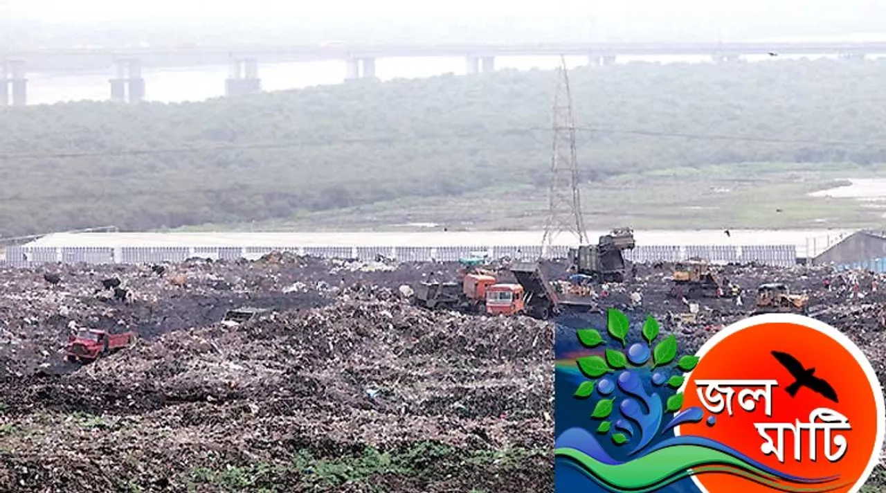Dumping Ground