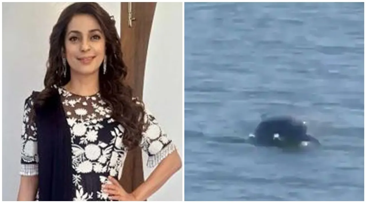 juhi dolphins