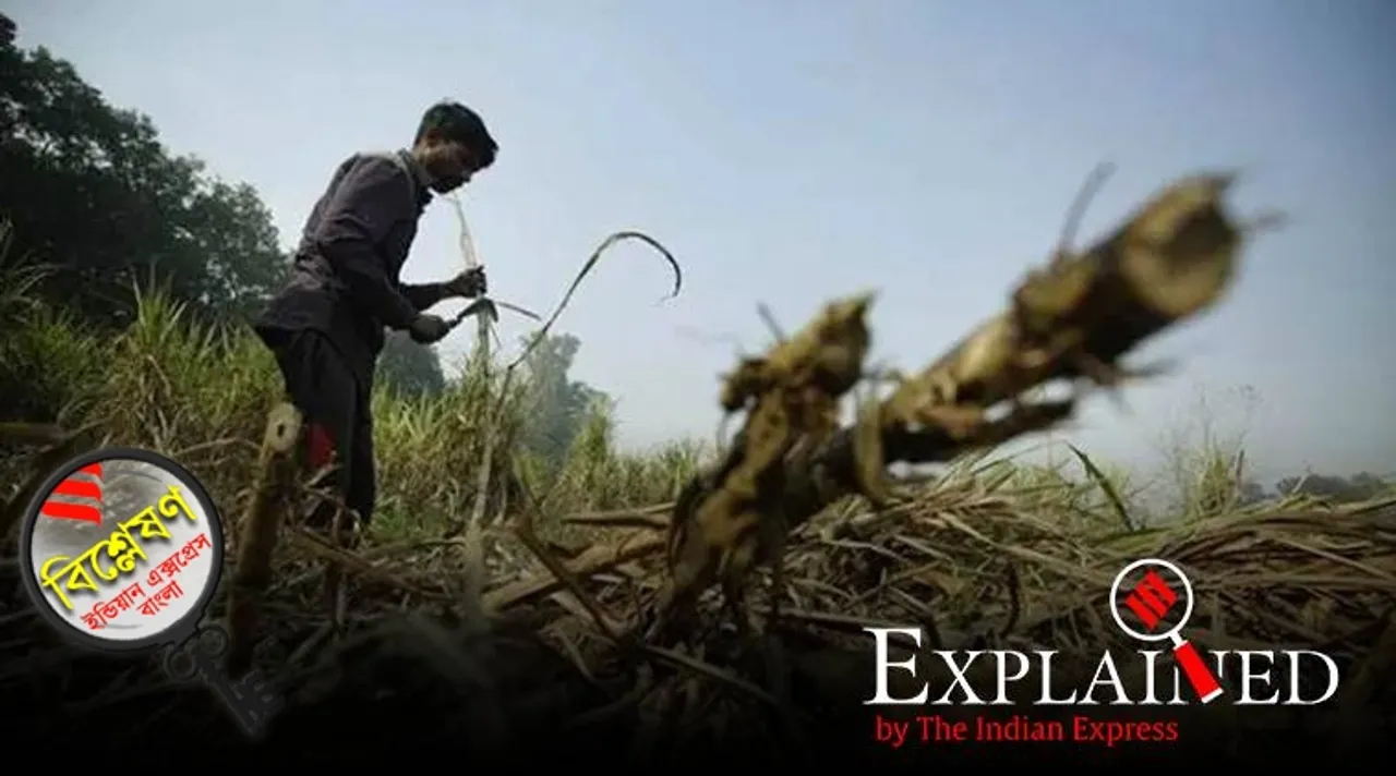 farmers suffer lockdown