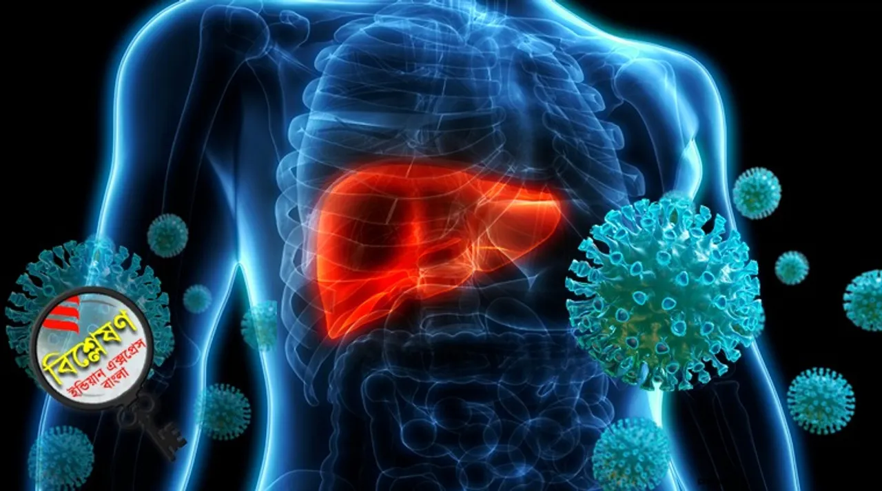 corona attacks liver patients