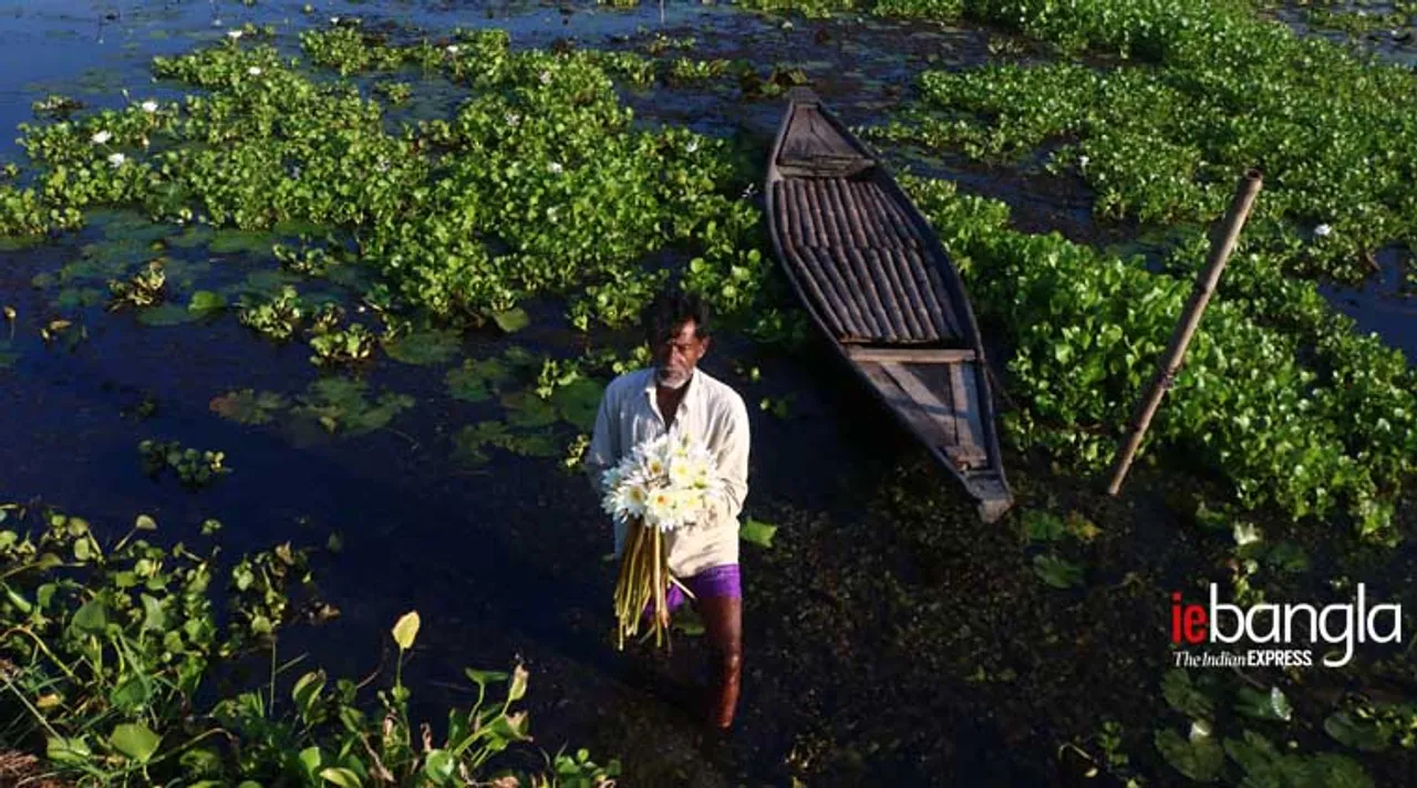 বর্তির বিল, Bartir bil, bartir bill, বরতির বিল, bortil bil, borotir bil, ওয়েস্ট বেঙ্গল, West bengal, পশ্চিমবঙ্গ, west bengal 2020, বিল, bill, বারাসাত, Barasat, ব্যারাকপুর, Barrackpur, কলকাতা, Kolkata, টুরিস্ট স্পট, tourist, tourist places in kolkata, ট্যুরিজম, tourism, ওয়েস্টবেঙ্গল ট্যুরিজম, tourism in west bengal, ট্রাভেলার, west bengal tourism packages, traveller করোনা, Corona, করোনা মহামারী, corona pandemic, মহামারী, Pandemic, নীলগঞ্জের বর্তির বিল,bartir bill nilganj, নীলগঞ্জ বর্তির বিল, bartir bill, নীলগঞ্জ, nilganj, কোভিড-১৯, covis-19 দুর্গাপূজা, Durgapuja, কাশফুল, tour and travel agency kolkata, bortir bil 2020, বর্তির বিল ২০২০, india 2020, ভারত ২০২০