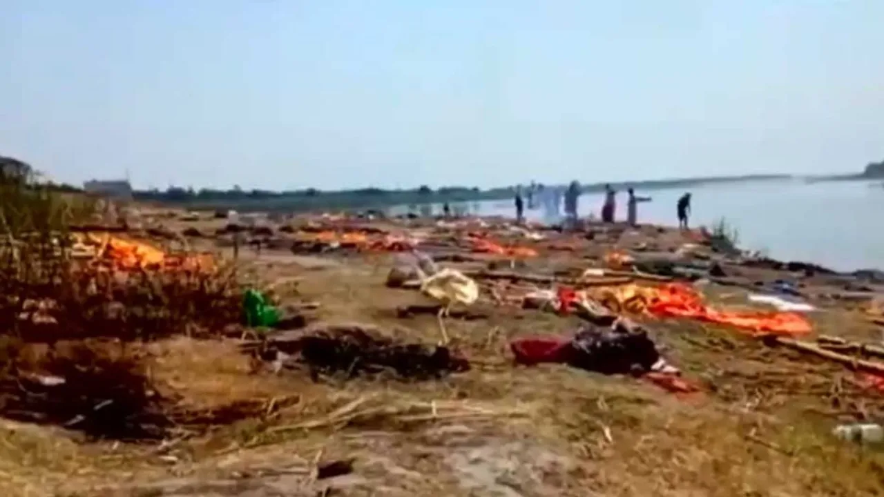 Dead bodies floated, UP, Bihar, Ganga, Jamuna, Corona India