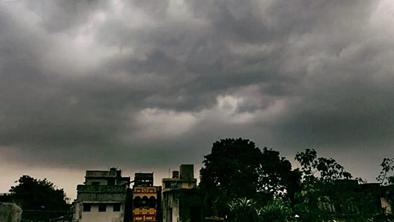 west bengal weather forcast today 13 november 2021
