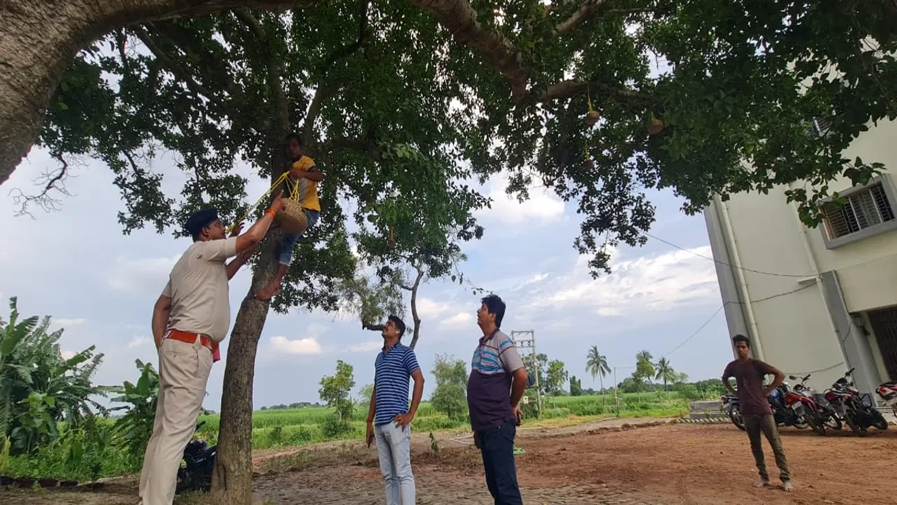 police built nest on trees for the birds in the purbasthali of east burdwan