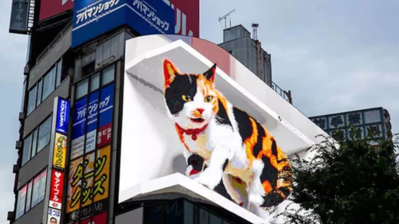 Giant cat tokyo