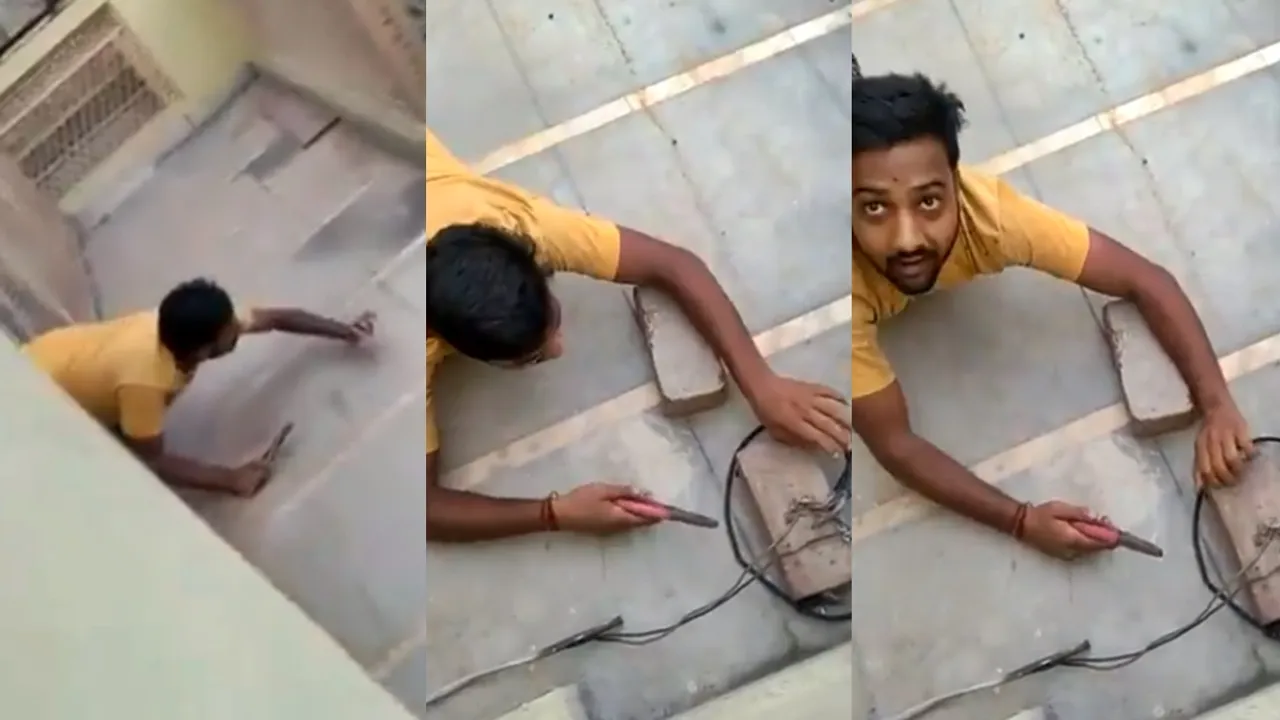 viral, viral videos