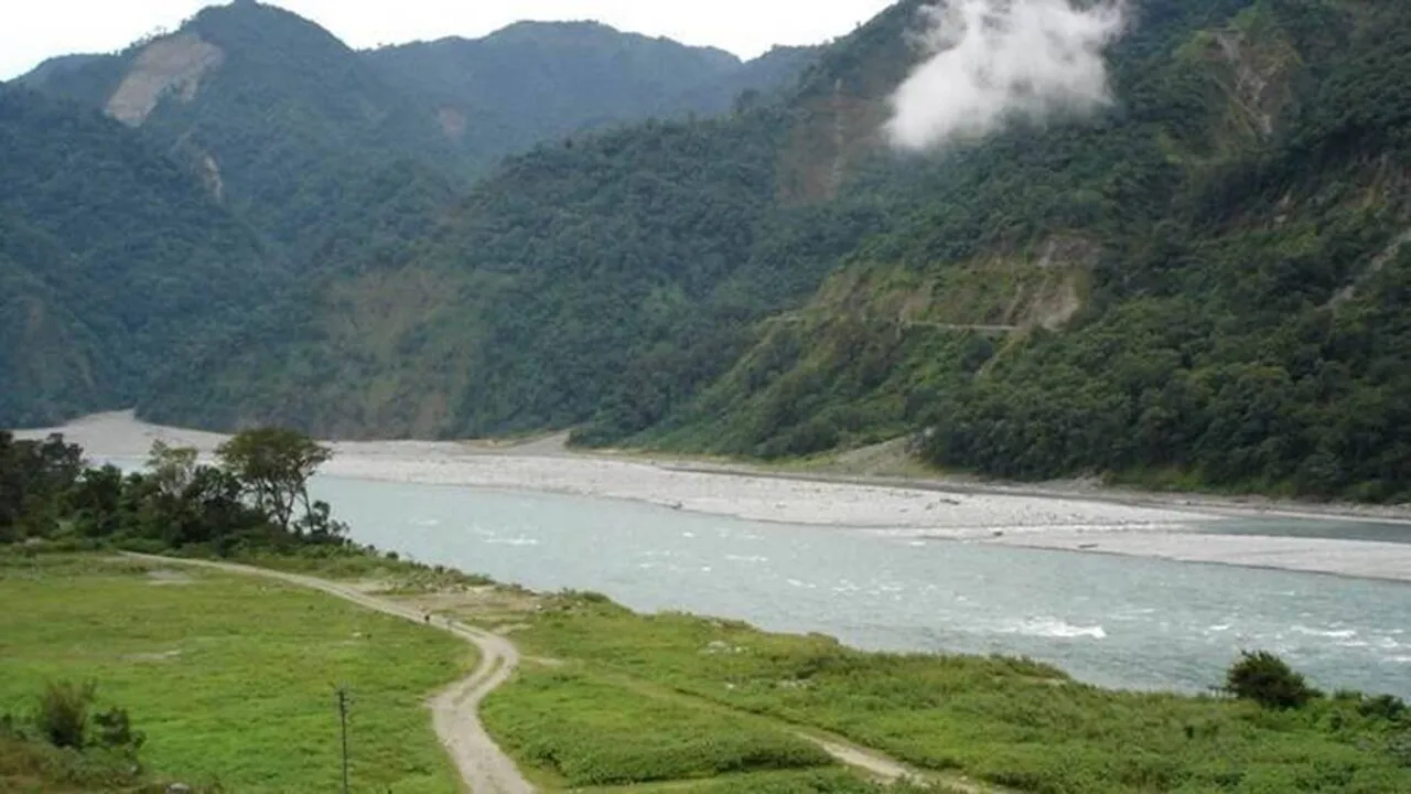 Thousands of fish die as river suddenly turns black in Arunachal