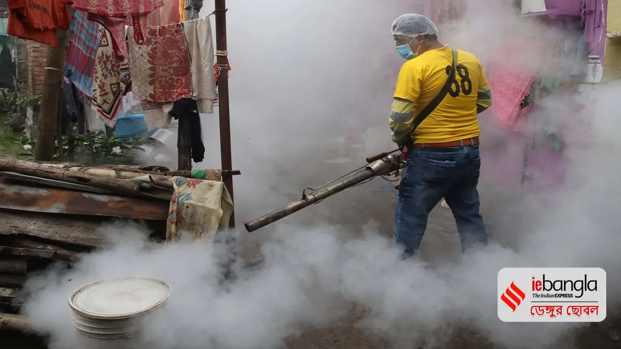 Dengue cases rising in Bengal, 747 new cases in a single week