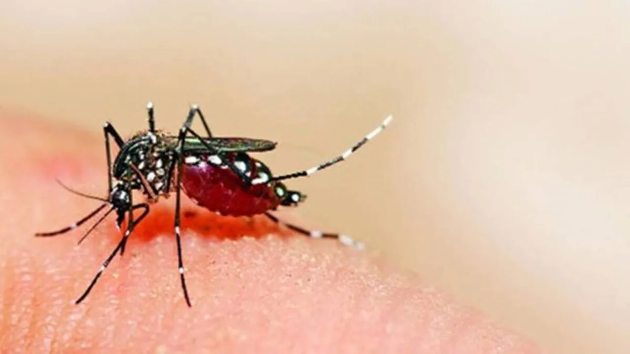 Central teams sent to 9 states, UTs reporting high number of dengue cases