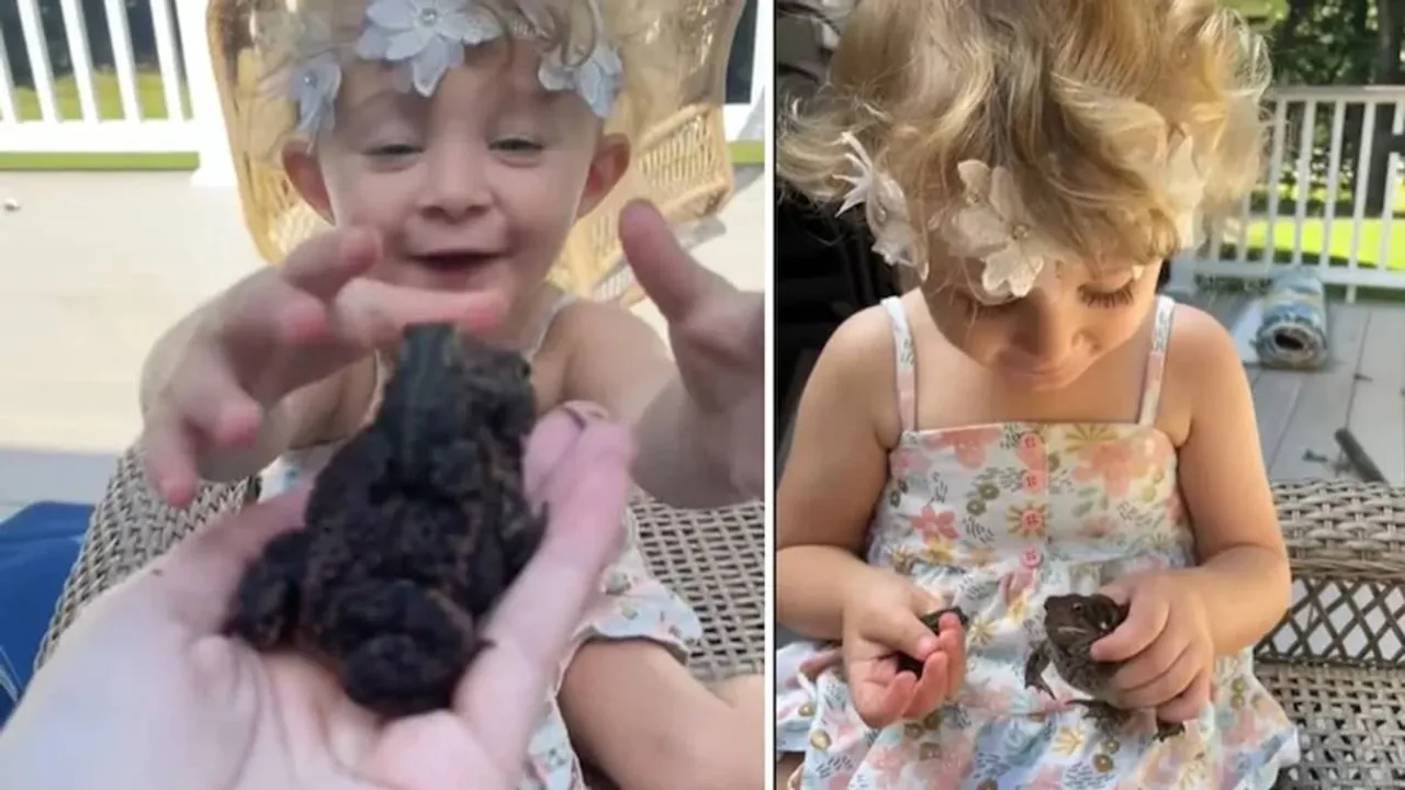 Little Girl kisses Frogs