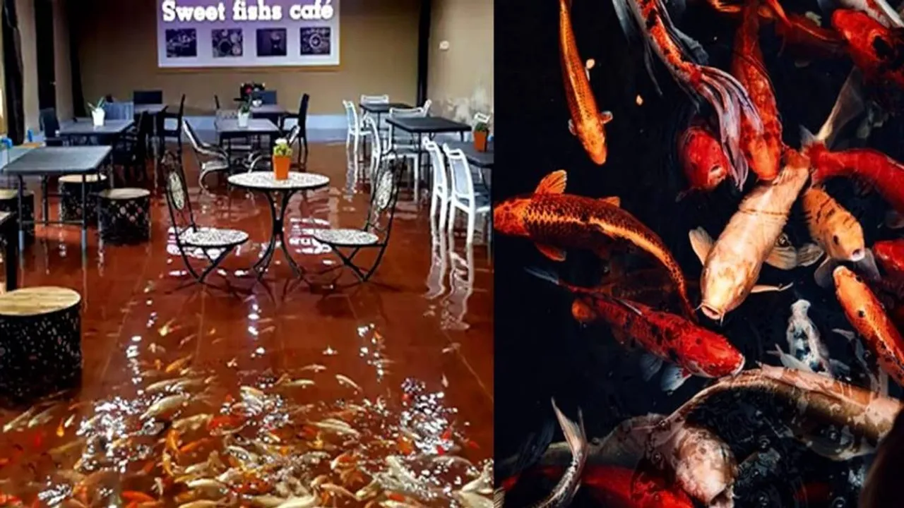 Pond Cafe