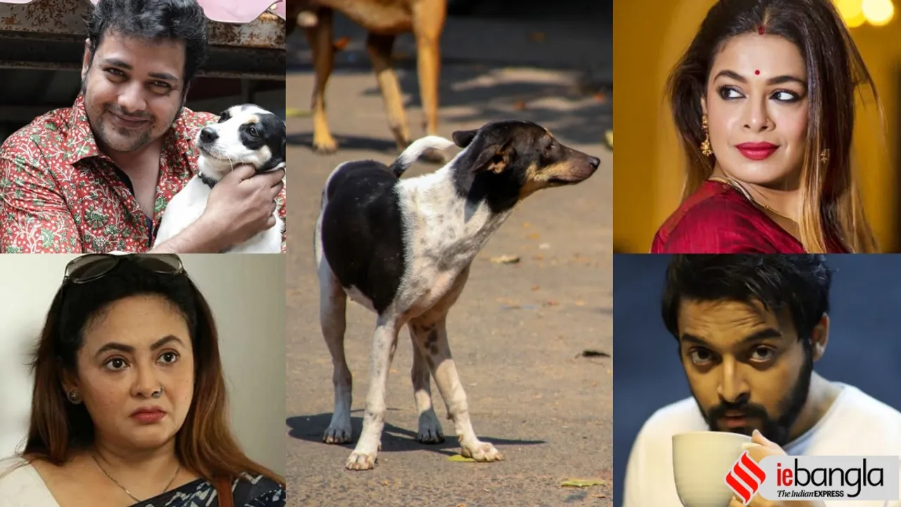 Stray Dog lovers are being attacked, Pet lovers, animal lovers, Kolkata News, Sreelekha Mitra, Iman Chakraborty, Sourav Das, Ditipriya Roy, Rupsa, আক্রান্ত পশুপ্রেমীরা, পথকুকুর, আক্রান্ত পথকুকুর, শ্রীলেখা মিত্র, ইমন চক্রবর্তী, রূপসা, দিতিপ্রিয়া রায়, সৌরভ দাস, তথাগত মুখোপাধ্যায়, kolkata news. bengali news today