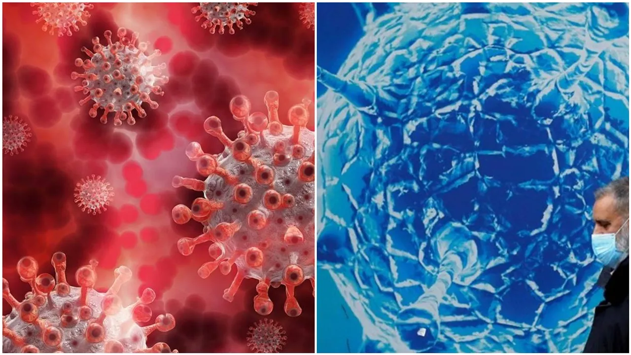 WHO designates new covid 19 strain as ‘variant of concern’, names it ‘Omicron’