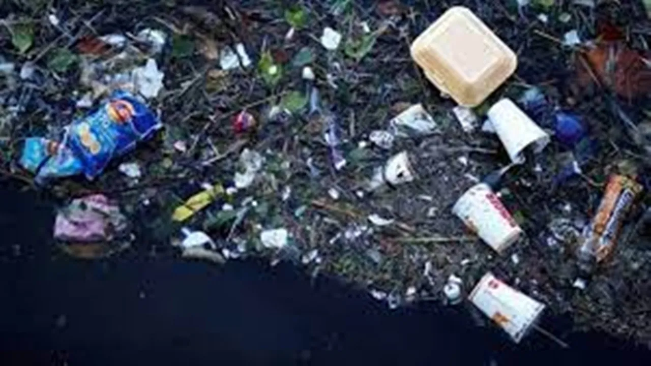 Kerala government to launch mobile app for waste disposal