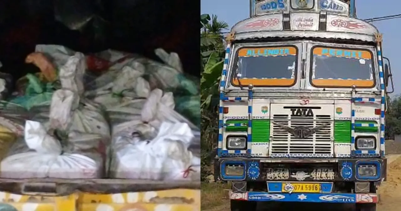 The whereabouts of the cannabis smuggling ring in Purbasthali, 5 arrested