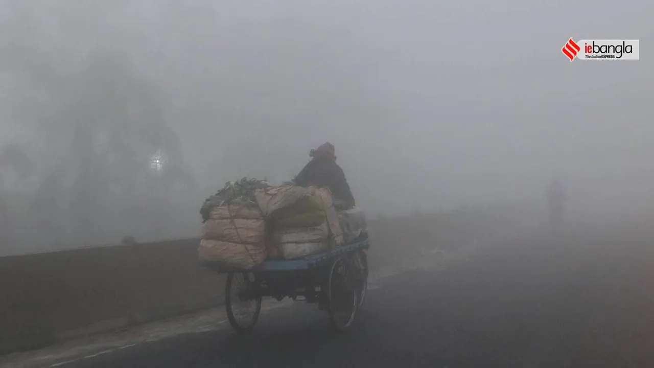 Winter Fog
