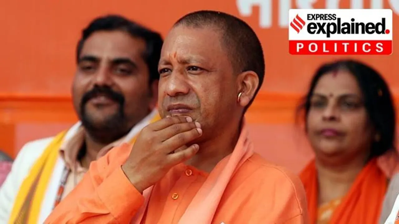 Yogi 1