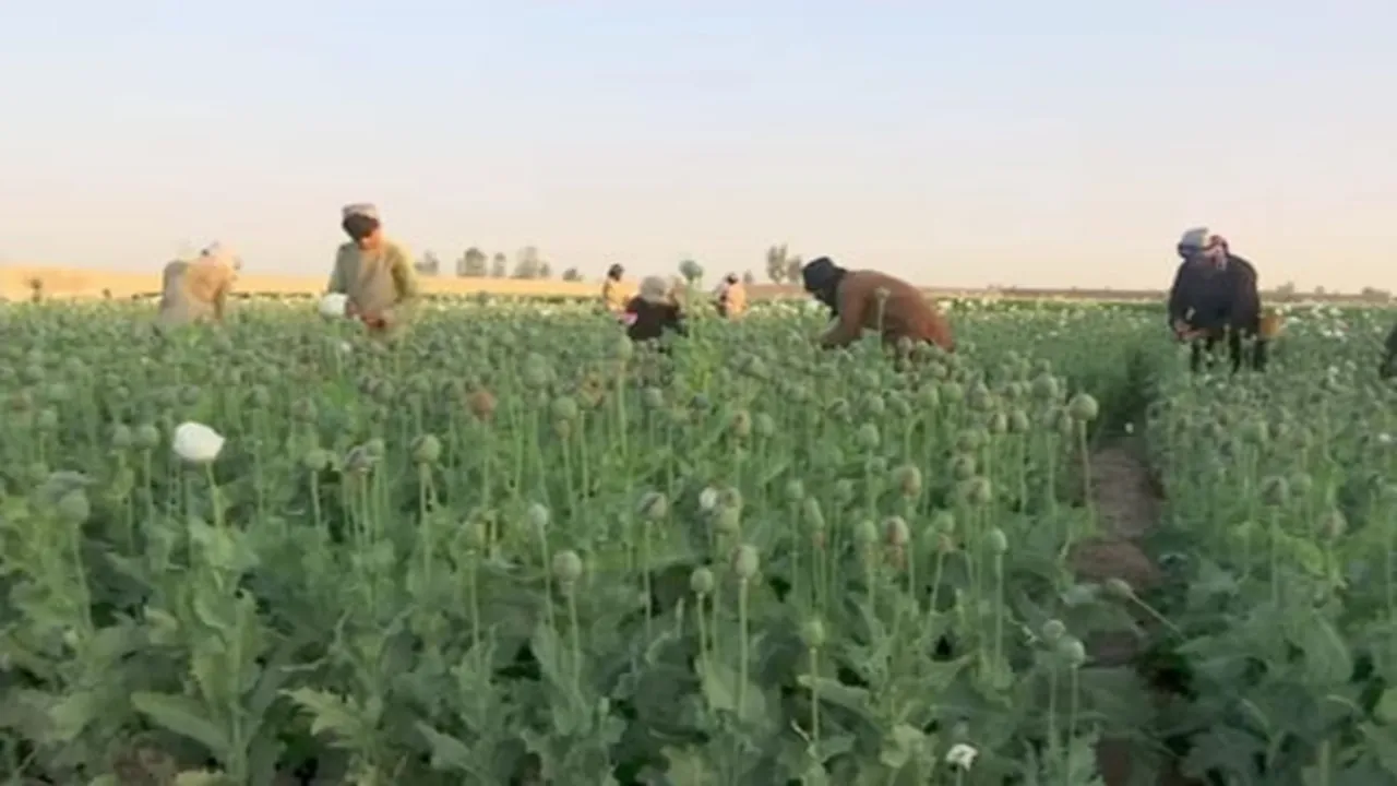 Afganistan 1
