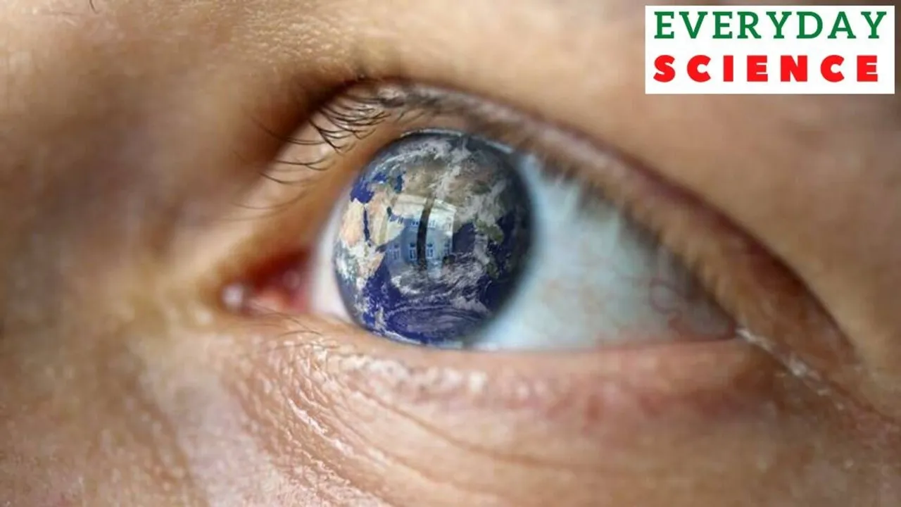 eye