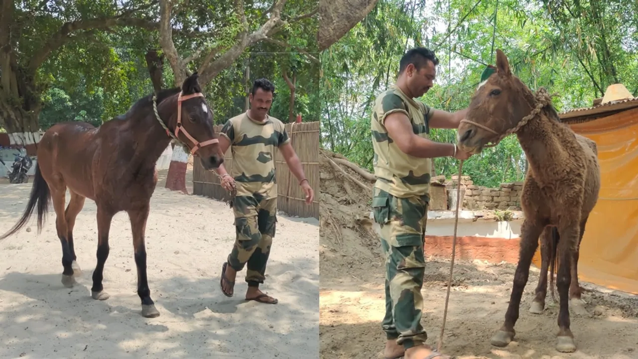 mamata and guide retires after 10 years service in army