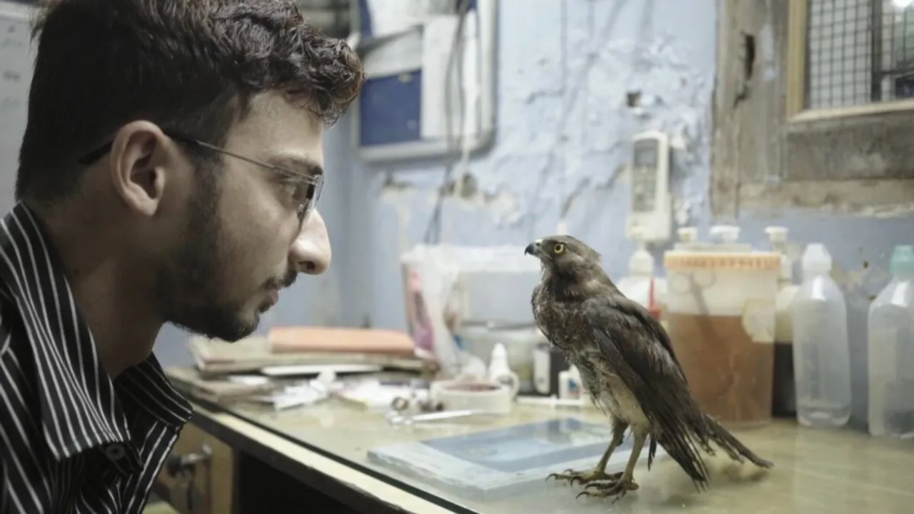 cannes award winning documentary