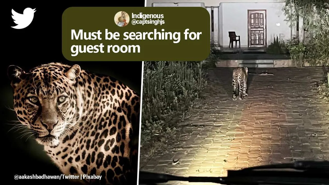 IFS officer meets leopard outside rest house