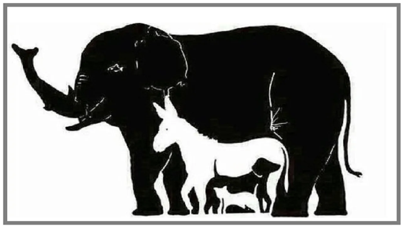 What is optical illusion, What is optical illusion examples, optical illusion pictures, optical