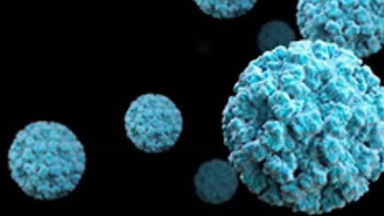 Norovirus, Norovirus cases, Norovirus Kerala, Norovirus Kerala cases, Kerala, Kerala news, Indian Express, Indian Express news