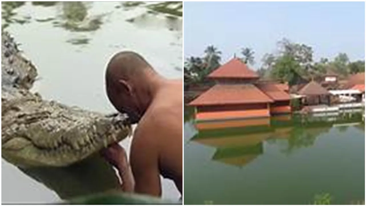 kerala crocodile temple