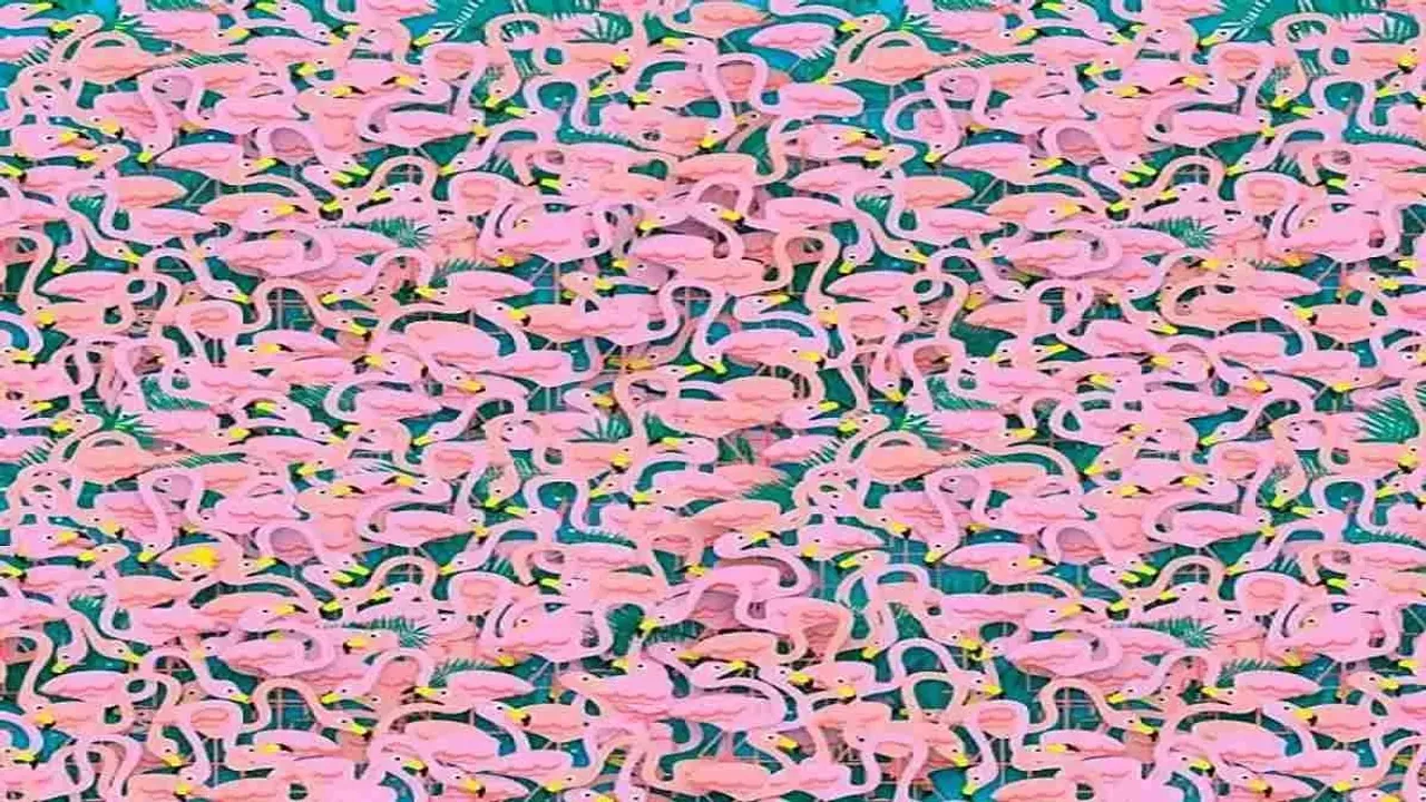 "Optical Illusion", "Viral Optical illusion