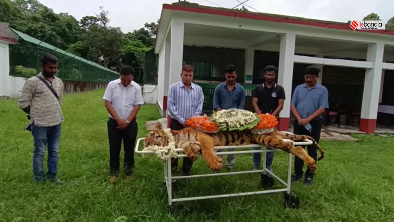 World's oldest Royal Bengal Tiger died in Jaldapara National Park