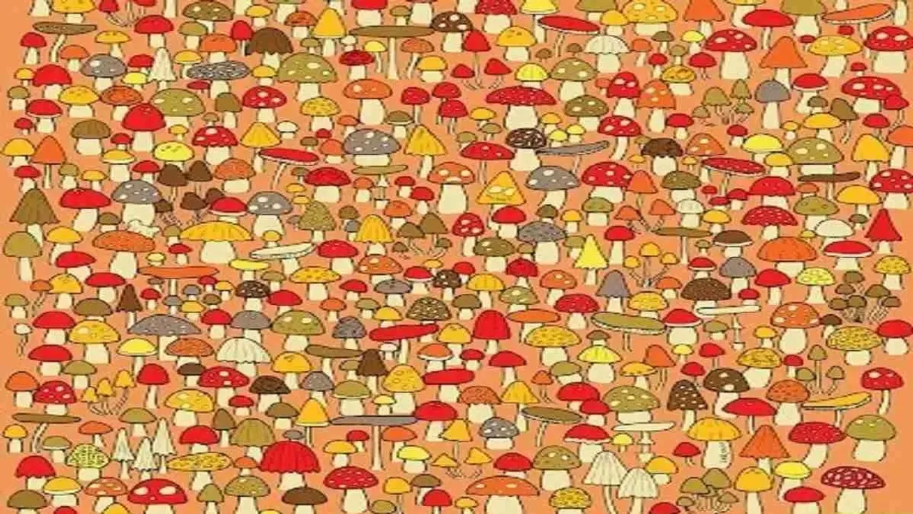 "Brain Teaser optical illusion, Optical Illusion todays, hidden optical illusion, optical illusions game, printable optical illusions, optical illusion examples, optical illusions for kids, optical illusion find hidden mouse in optical illusion, famous optical illusions, optical illusi