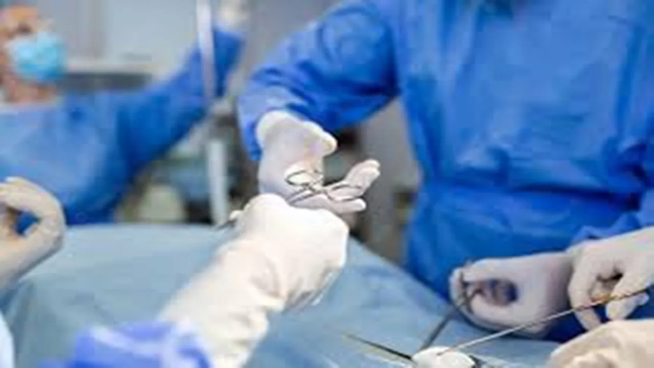 pig heart transplant, heart transplant, New York University, heart transplant news, us news, health news, new york news, todays news, world news