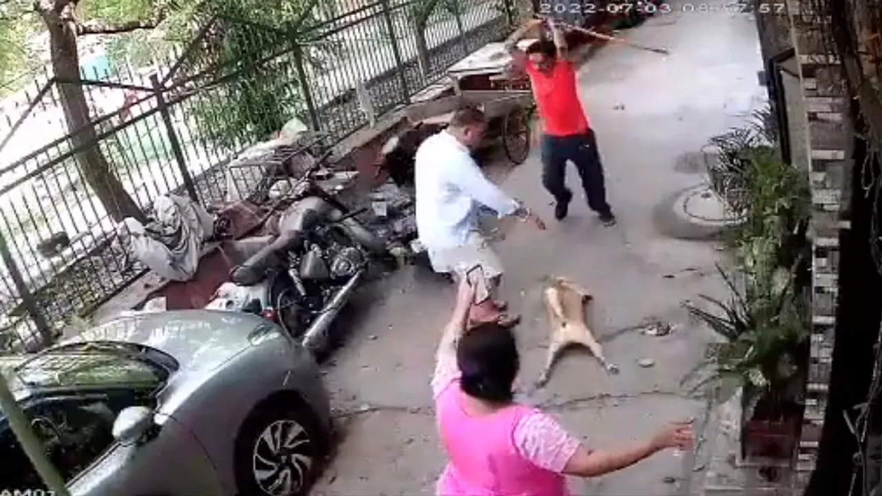 delhi news, delhi dog attack, delhi dog iron rod attack, delhi latest news, delhi police, delhi dog owner attacked, delhi dog attacked news