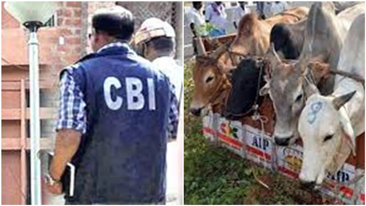 Udayan Guha is fears arrest in cow smuggling case