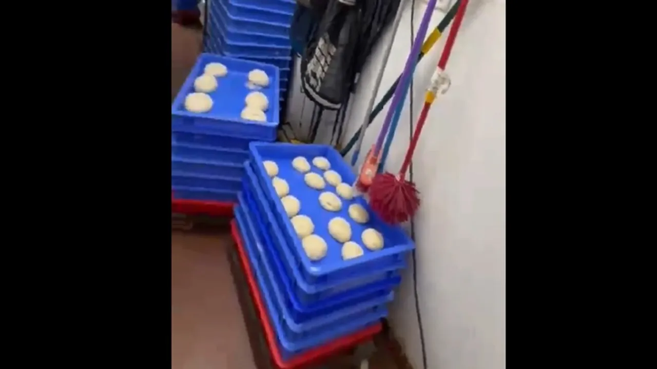 Domino's Bengaluru, Domino's Bengaluru Twitter, Domino's Pizza controversy, domino's Bengaluru Karnataka, domino's Bengaluru mops, domino's pizza twitter, sahil karnany twitter, sahil karnany, Bengalurudominos, bengaluru, Dominos pizza, Bangalore dominos, bad quality pizzas, pizza video on twitter, indian express news today