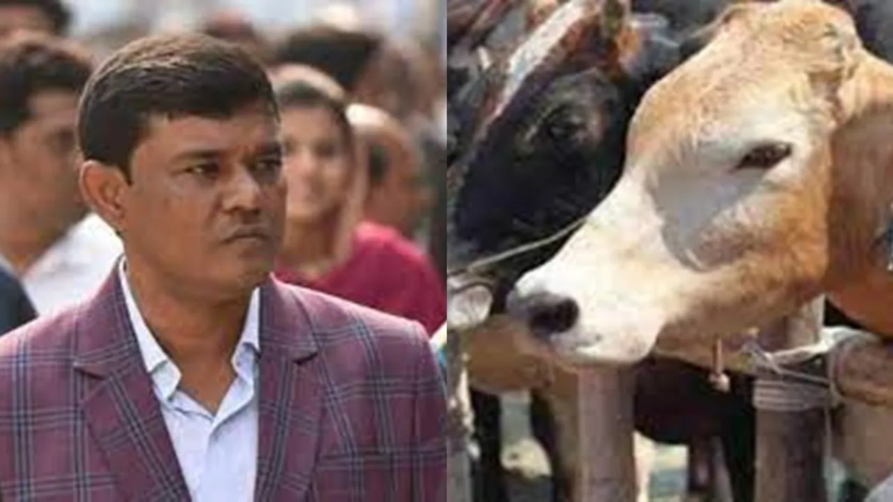 cid wants to interogates enamul hoque in cow smuggling case