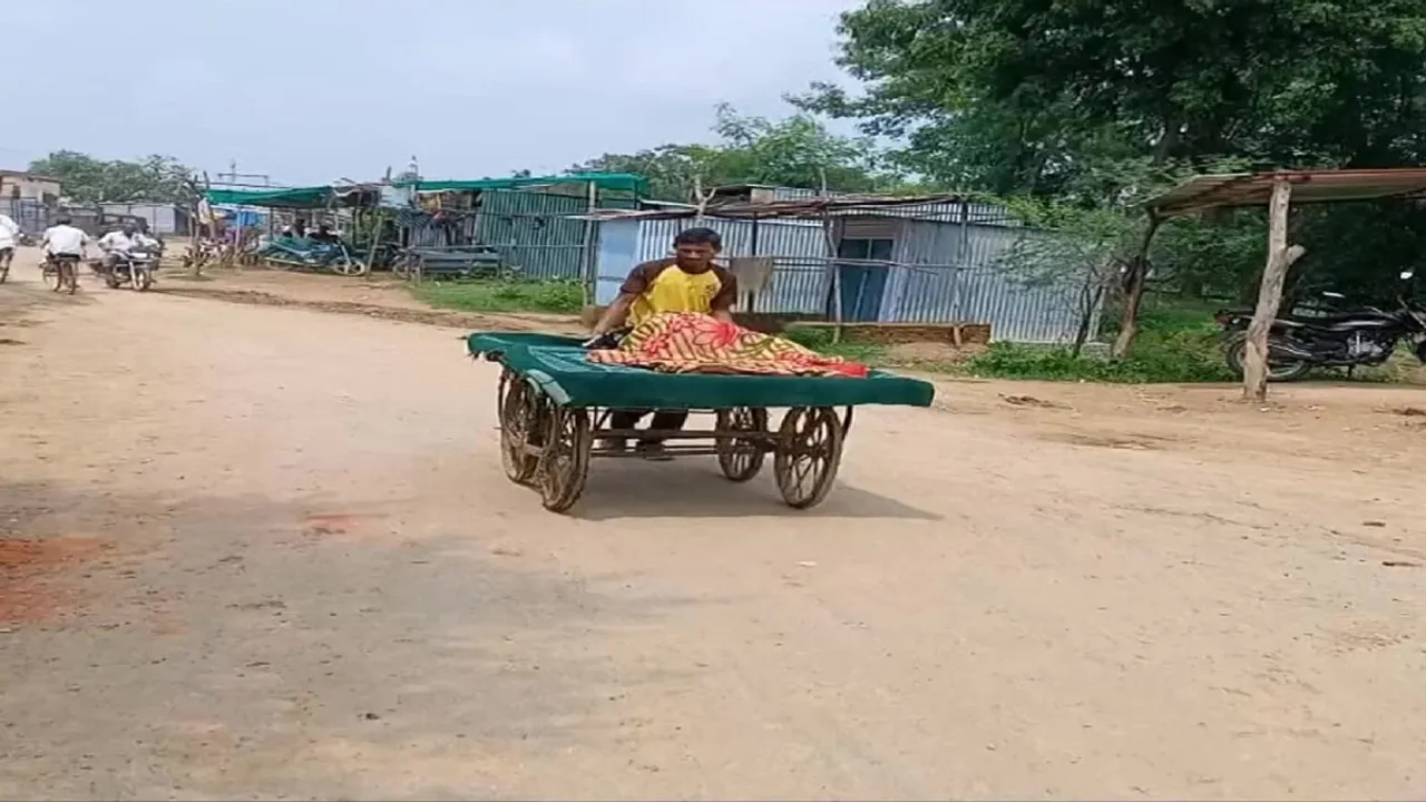 pregnant woman, viral