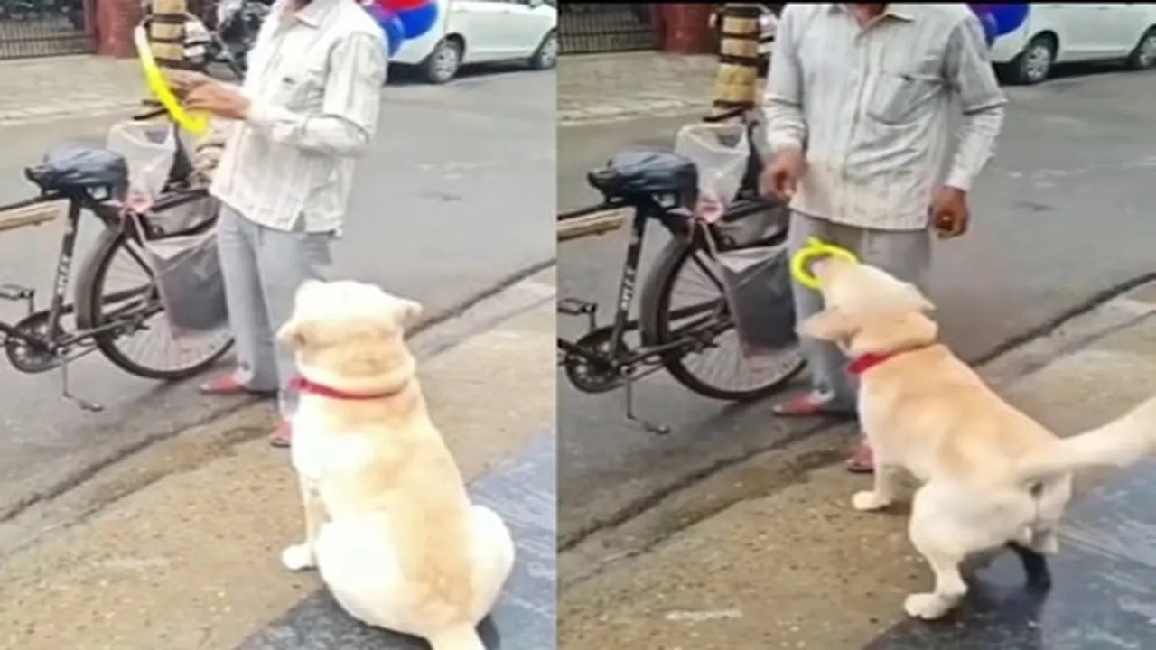 balloon seller gives dog a handmade toy, viral video of balloon seller, Balloon Seller Gives Dog a Handmade Toy, viral video on social media, viral video, Strange News, Viral News, Trending News, Viral On Internet, Strange News, Viral News, Trending News,Interesting News, bizarre news, viral on social media, Viral, Trending, Buzz, Weird News, odd news, Most Searched Story, Most Weird news in hindi, world news, world news in hindi, strange news, offbeat news, trending news, ajab gajab