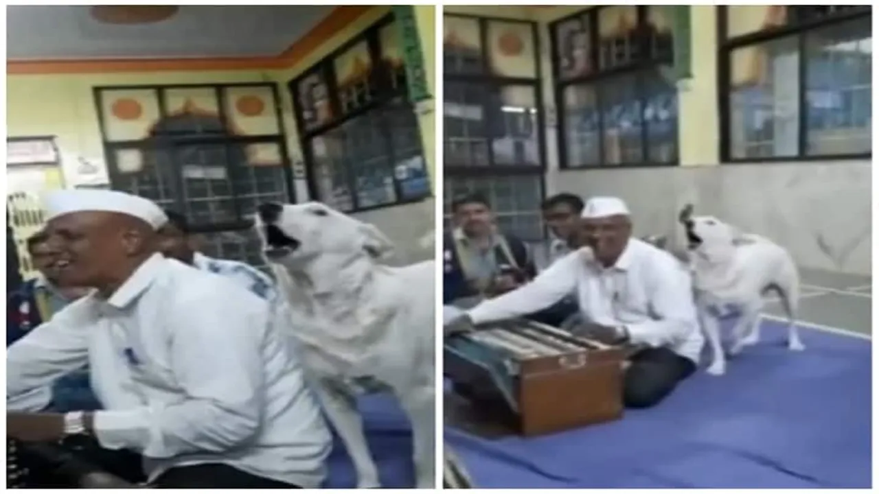 DOG ,Dog,Viral Video,Trending Video,Social Media,