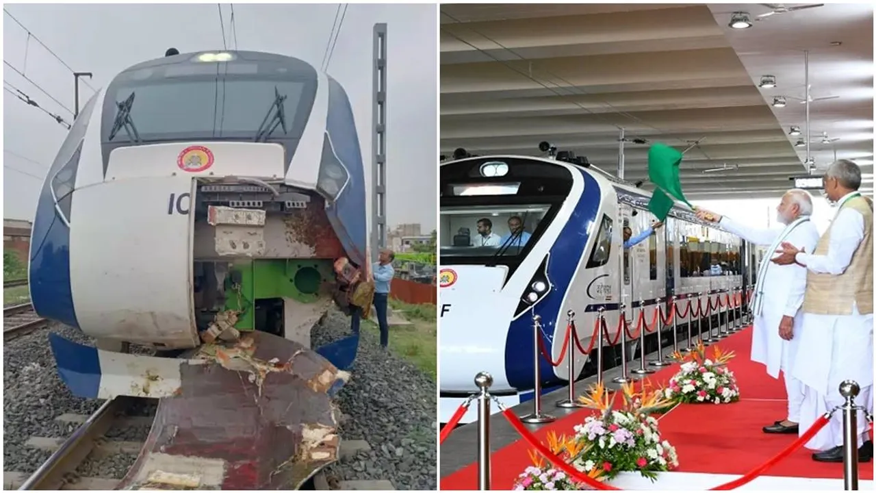 Vande Bharat Express accident, Vande Bharat Express buffaloes, Vande Bharat Express engine, Vande Bharat Express mumbai to gandhinagar, Vande Bharat Express news