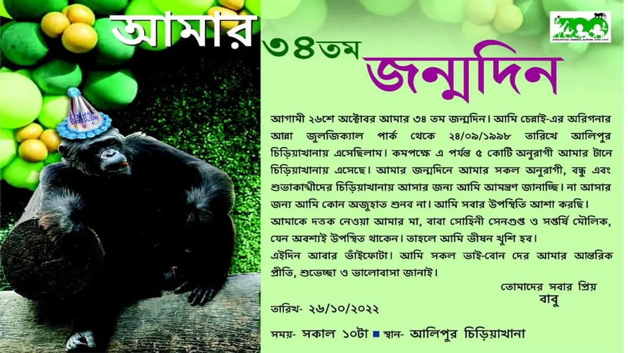 সোহিনী সেনগুপ্ত, বাবু শিম্পাঞ্জি, আলিপুর জু, আলিপুর চিড়িয়াখানা, sohini sengupta, babu chimpanzee, alipore zoo ticket price, alipore zoo babu chimpanzee, alipore zoo animals, alipore zoo