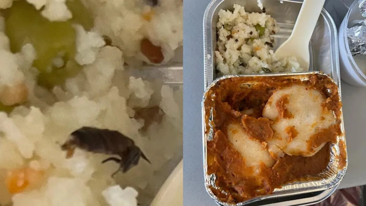 vistara, flight, cockroach, food, disgusting,