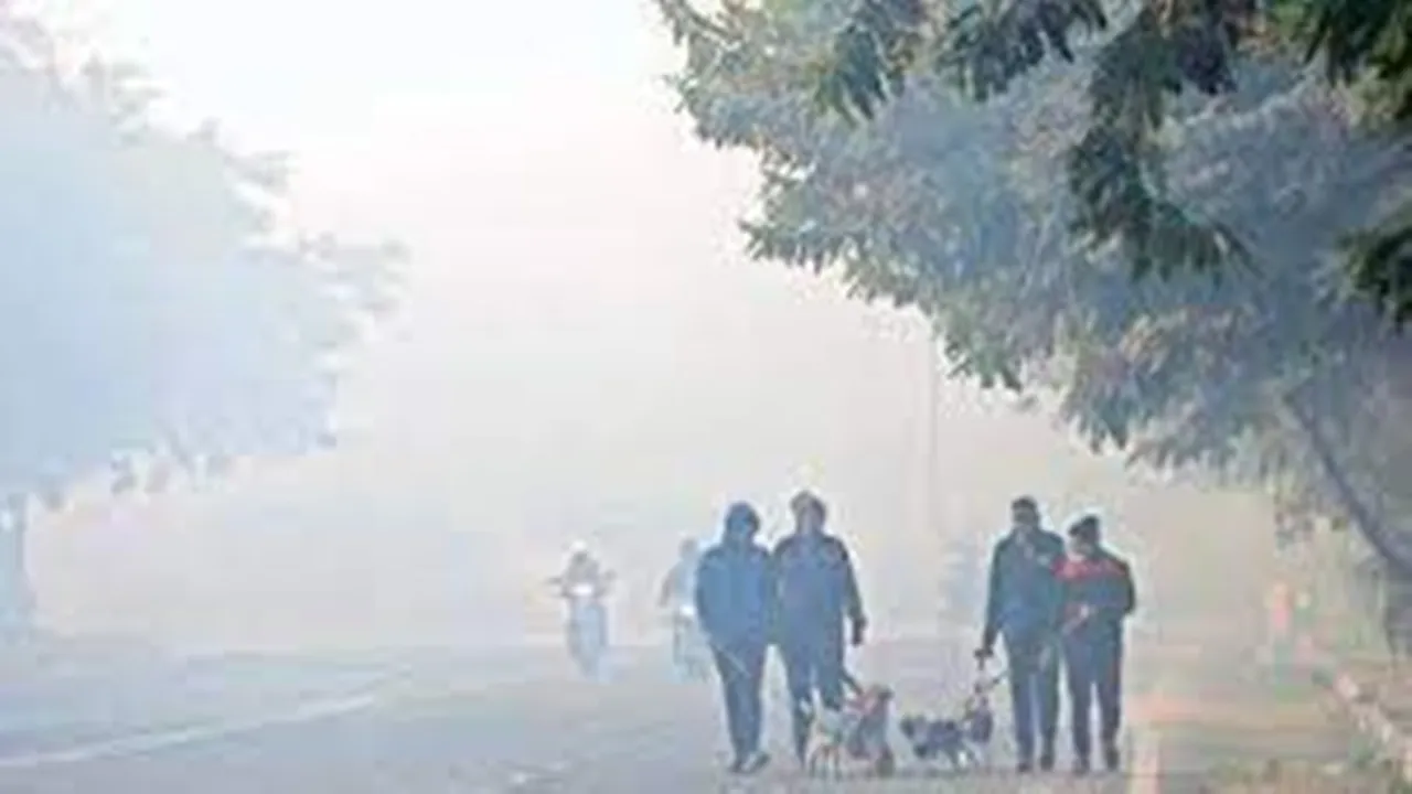 west bengal weather forecast 20 january 2023