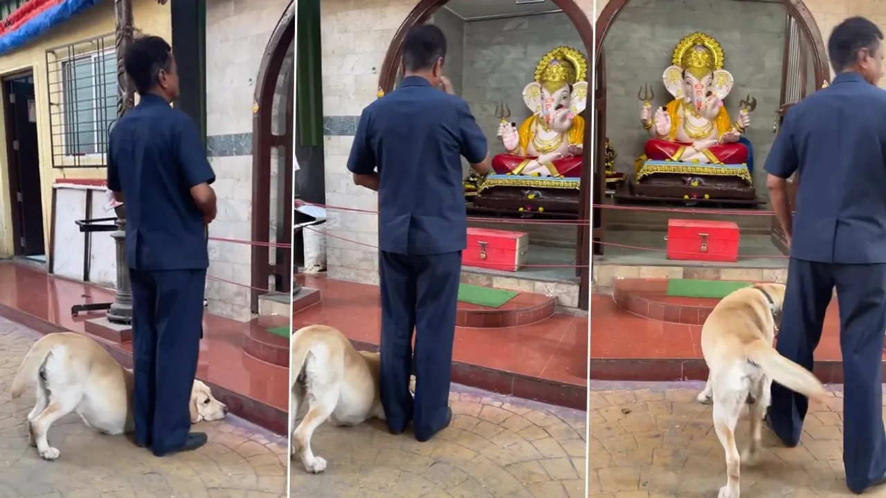 trending Video, viral video, animal video, Dog video, dog in temple video, dog praying to God Video, Lord Ganesh Video, Hindu Mythology video, Kutte ka video, pet dog video of temple, trending dog video