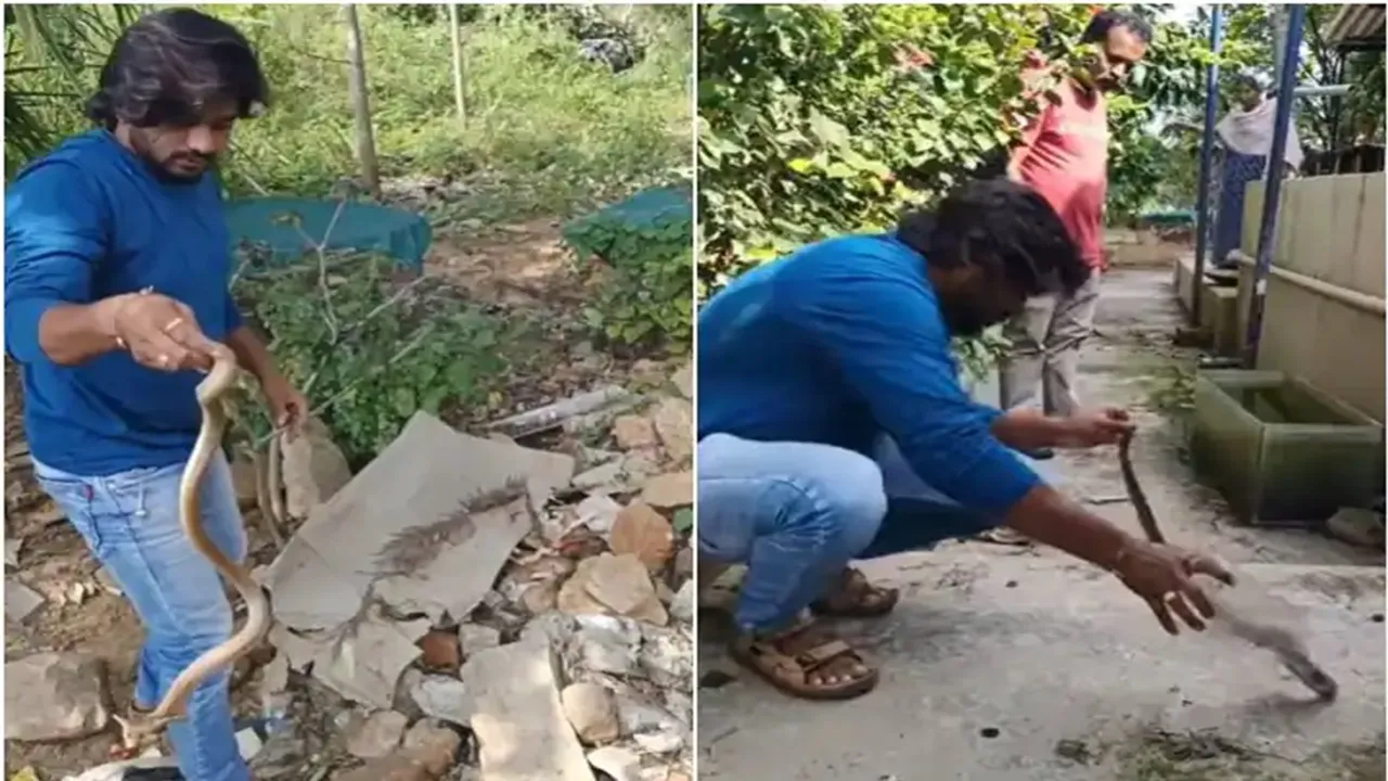 Viral Video of Snake Rescue, Trending Video of Snake Rescue, Amazing Video of Snake Rescue, Shocking Video of Snake Rescue, trending Video of Snake Rescue on twitter, trending Video of Snake Rescue on facebook, trending Video of Snake Rescue on instagram, trending Video of Snake Rescue on youtube,