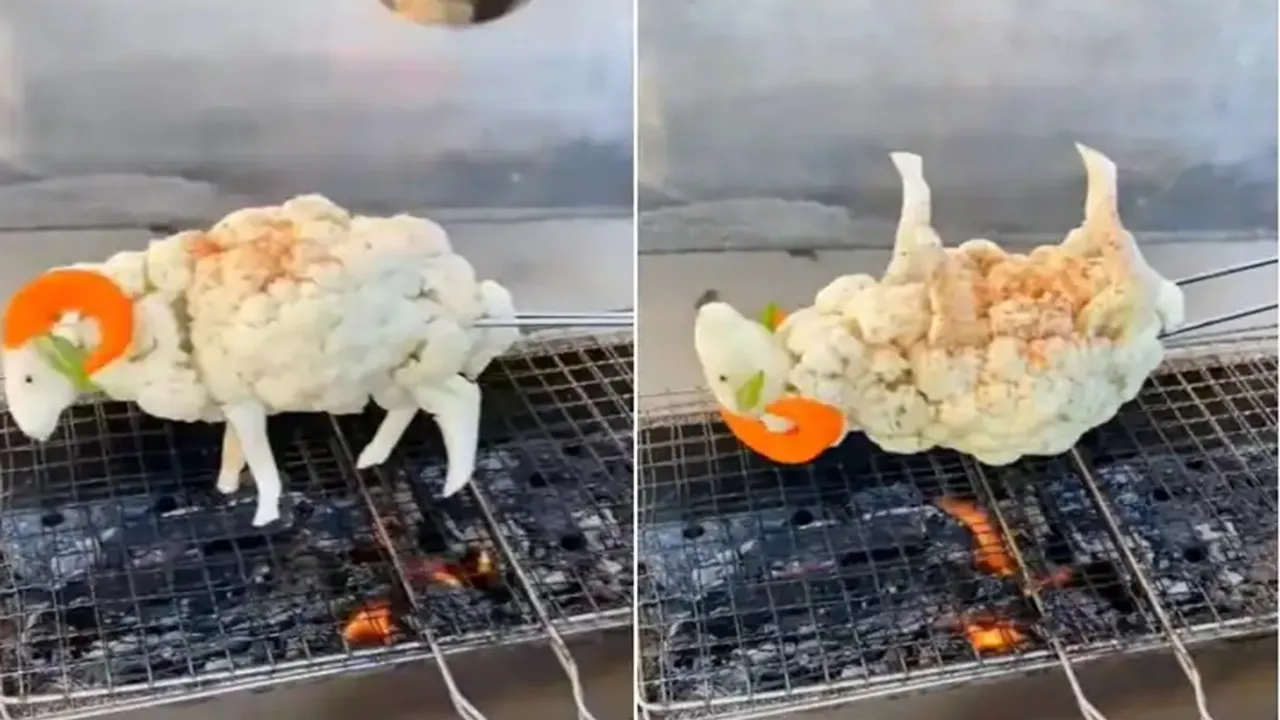 Viral Video of sheep, Trending Video of sheep, Amazing Video of sheep, Shocking Video of sheep, trending Video of sheep on twitter, trending Video of sheep on facebook, trending Video of sheep on instagram, trending Video of sheep on youtube, Viral Video of Vegan lamb, Trending Video of Vegan lamb, Amazing Video of Vegan lamb, Shocking Video of Vegan lamb, trending Video of Vegan lamb on twitter, trending Video of Vegan lamb on facebook, trending Video of Vegan lamb on instagram, trending Video of Vegan lamb on youtube, Capsicum,cauliflower,viral video,sheep