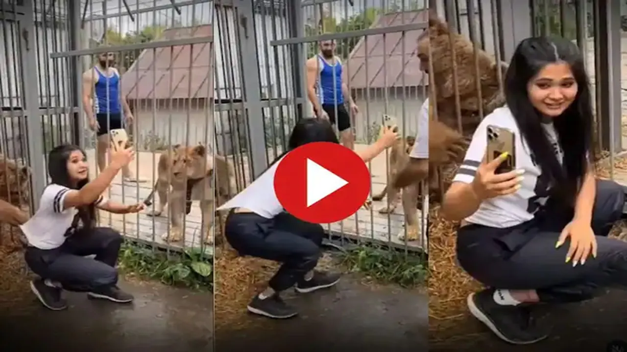 Sherni Aur Bhalu Ka Video,Sherni Aur Ladki Ka Video,Lioness And Bear Video,Animal Video,Google Trends,Girl Ka Video,Omg Video,Viral Video,Zoo Ka Video
