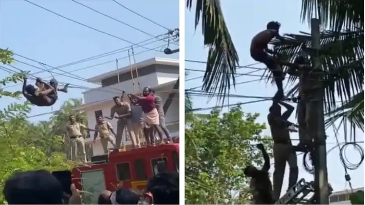 Viral Video of man on electric wire, Trending Video of man on electric wire, Amazing Video of man on electric wire, Shocking Video of man on electric wire, trending Video of man on electric wire on twitter, trending Video of man on electric wire on facebook, trending Video of man on electric wire on instagram, trending Video of man on electric wire on youtube