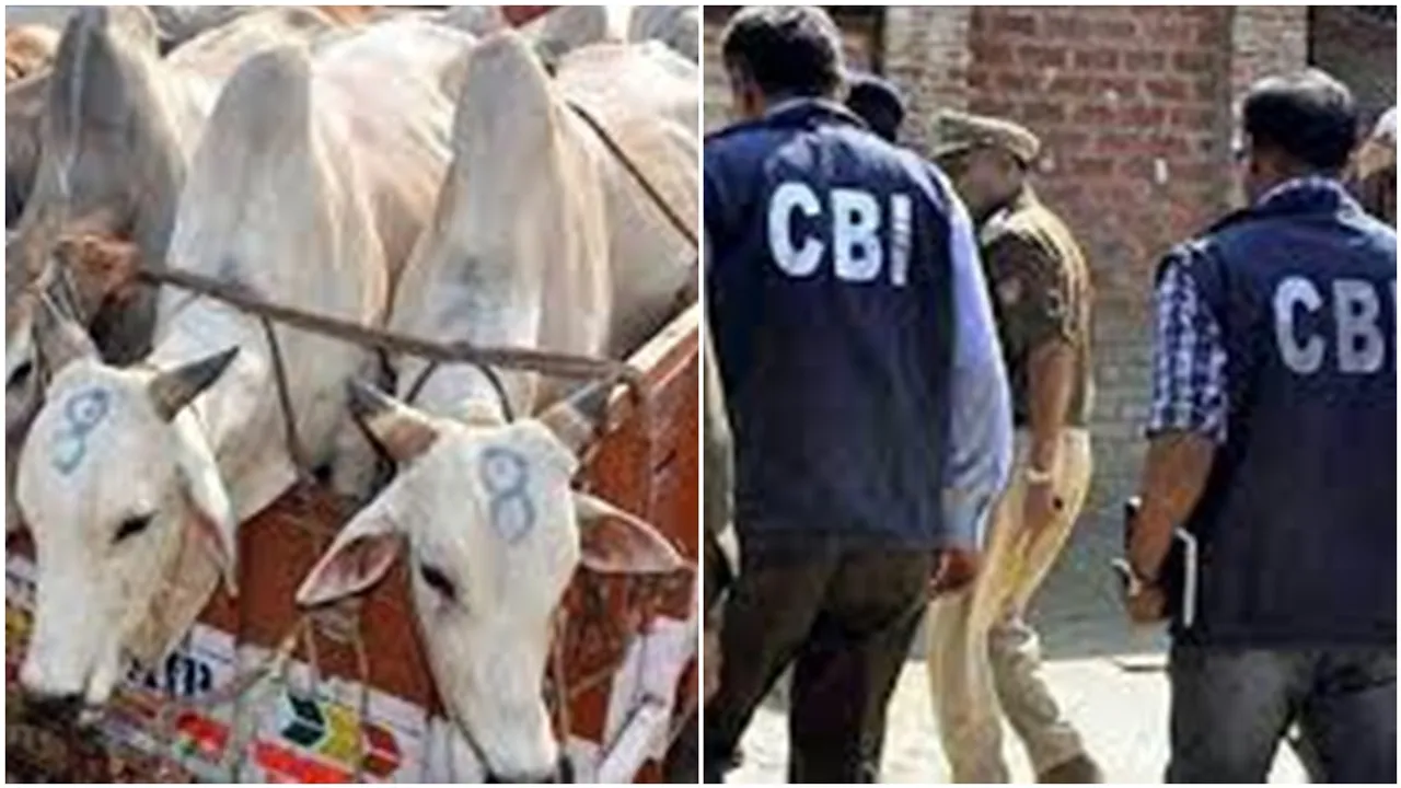 enamul hoque get 50 lakhs in lottery, cbi says in cow smuggling case probe